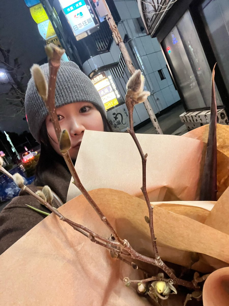 きゃなのサブ垢 tweet media