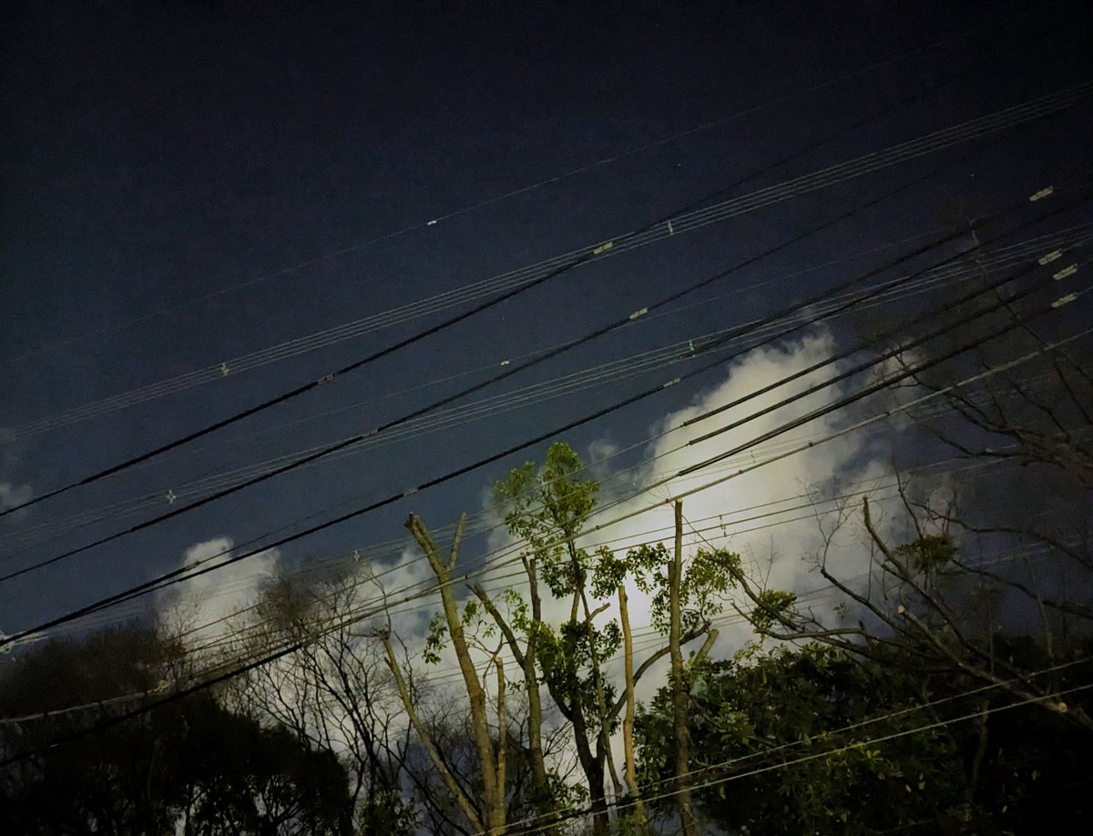 井坂健一郎 tweet media