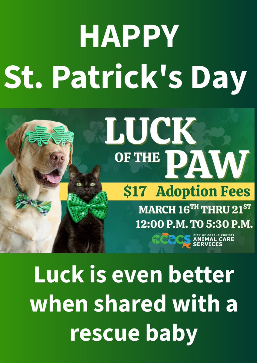 SamfromSpain♥️🐕🦮🐈‍⬛🐈 tweet media