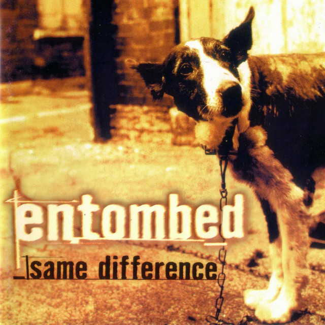 Thrasher_1971's tweet image. Now playing : What You Need
Band: Entombed
Album: Same Difference
Song: open.spotify.com/track/2eua3Gkd…
Playlist: open.spotify.com/playlist/4Bkua…
#Entombed #Metal #DeathMetal #NowPlaying