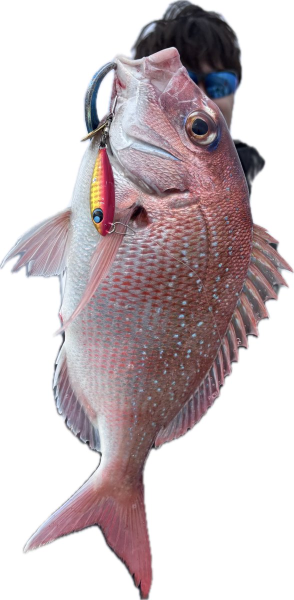 BETTYfishing's tweet photo. 魚が勝手に近づいてきた日 https://t.co/hVxN8SFsRT