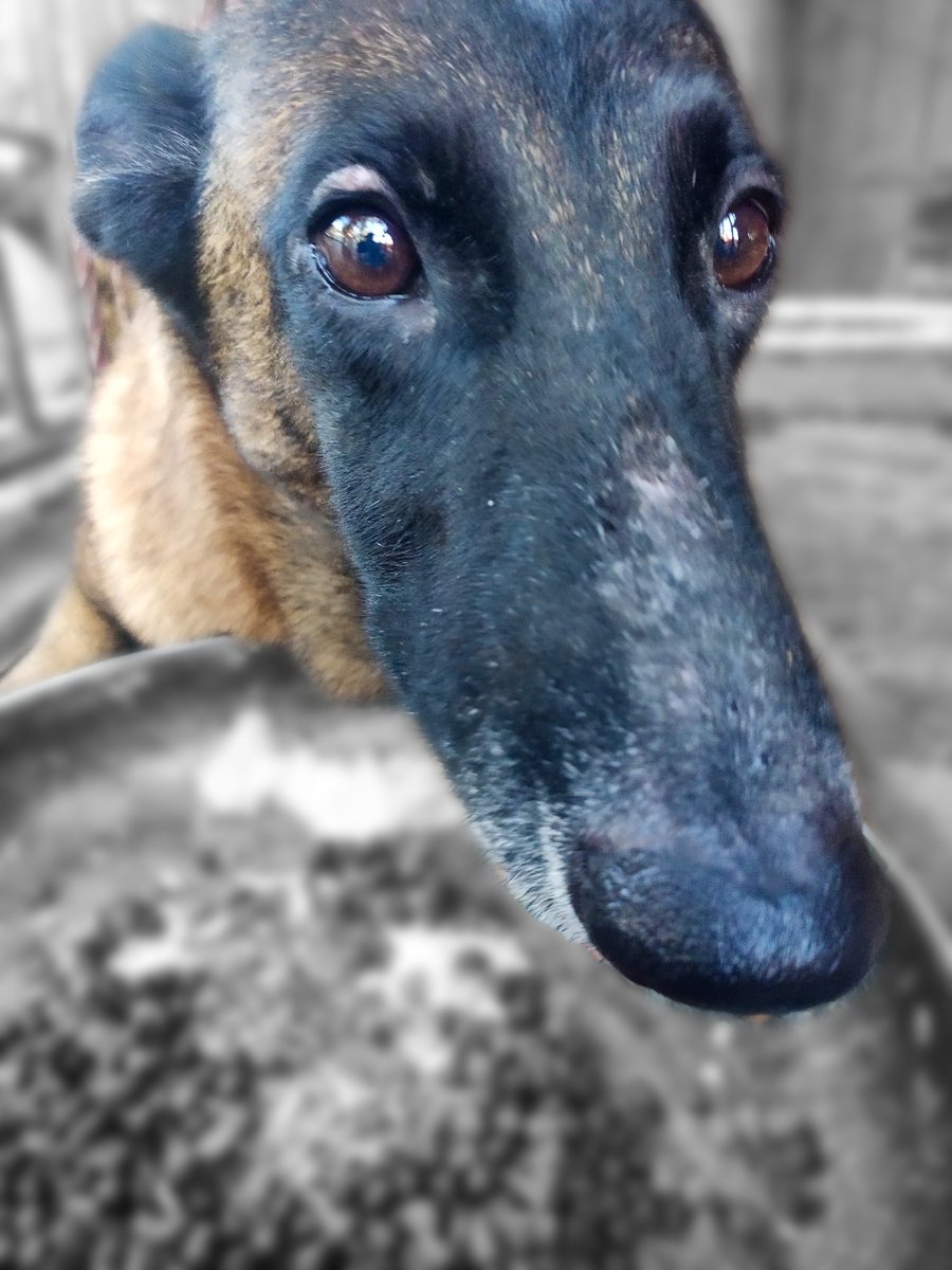 belly【1.0 DEBUT 2026!】🍙💜🔪 tweet media