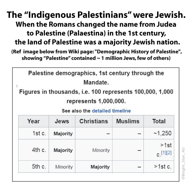 North Star tweet media