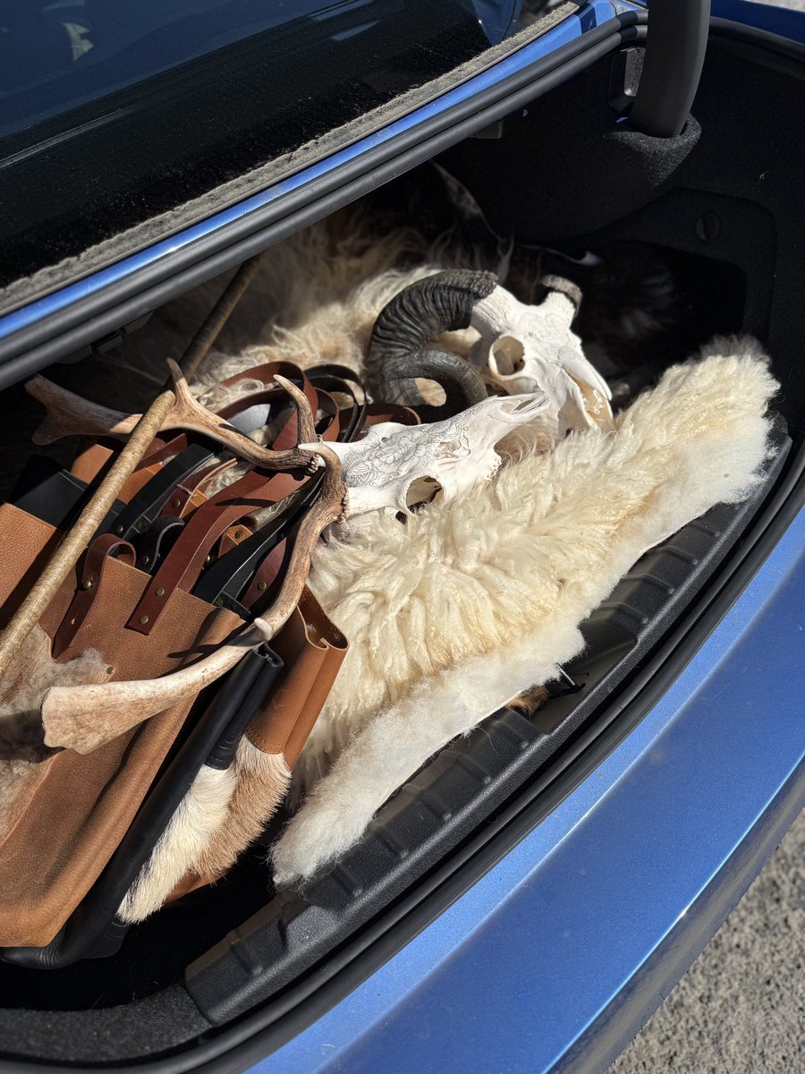 Welsh Organic Tannery 🐏🐐 tweet media