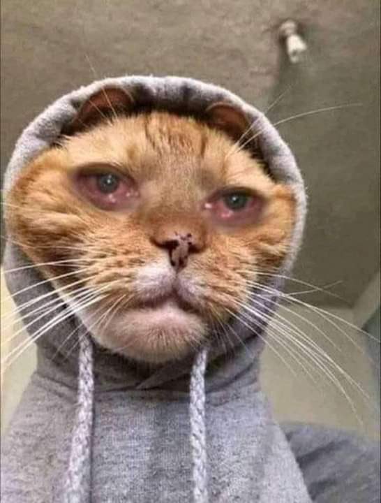 Gbatamangi tweet media