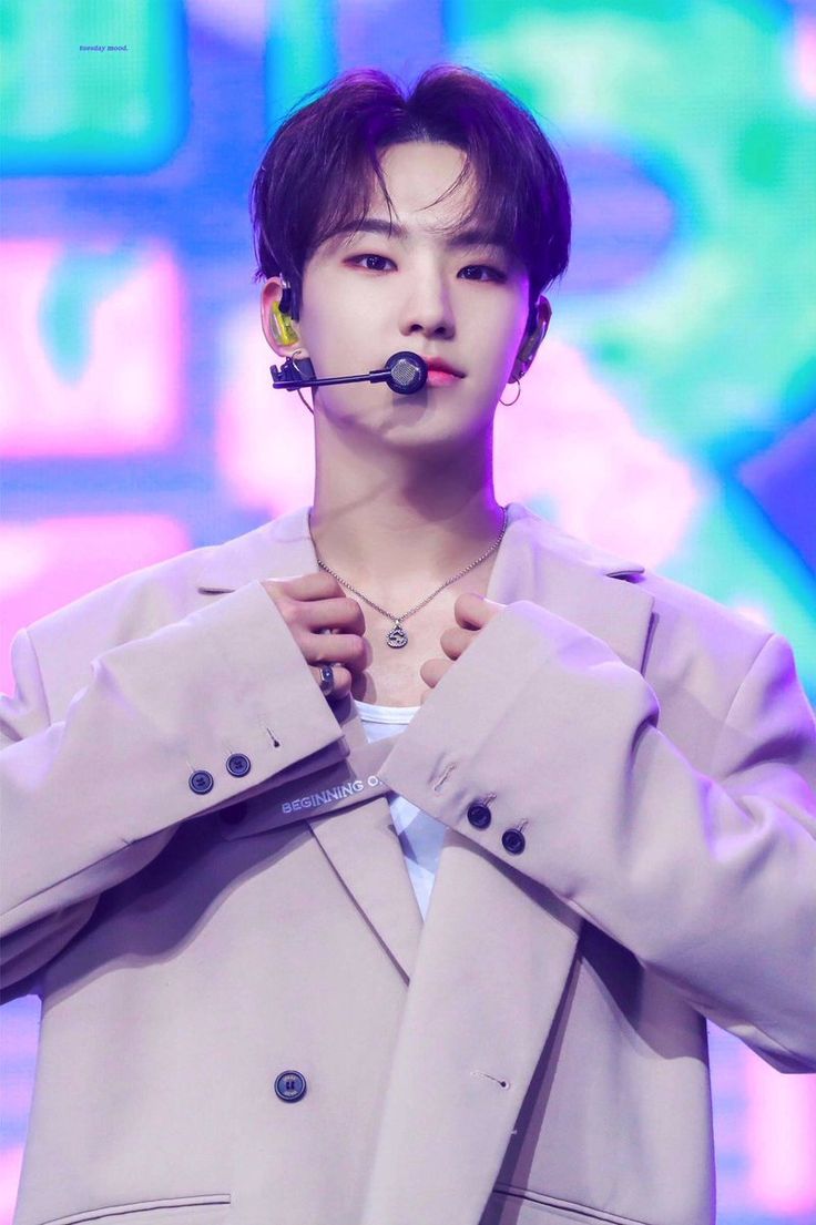 hourly hoshi tweet media