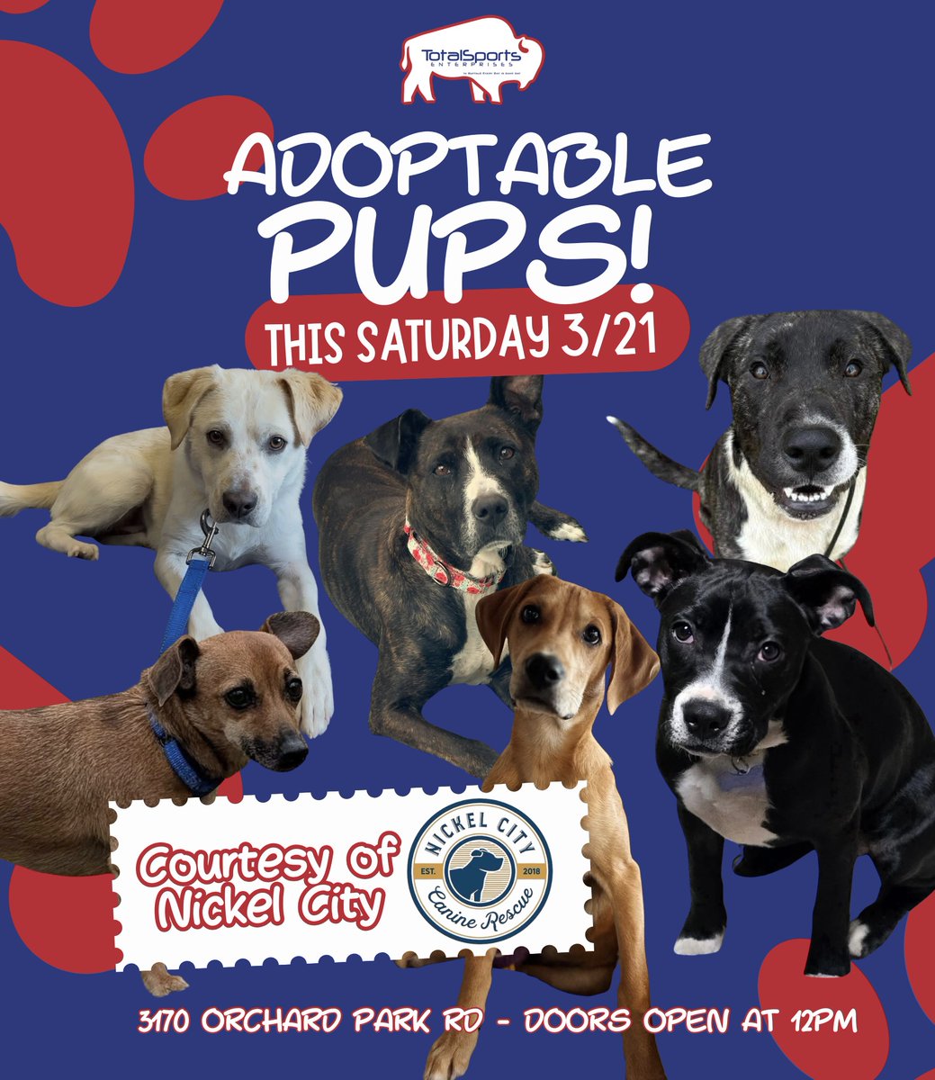 Total Sports Buffalo tweet media