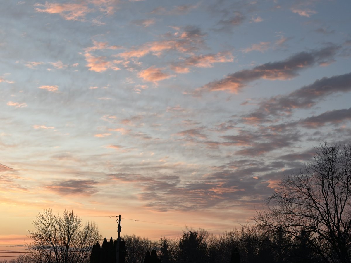 Papa Dino tweet media