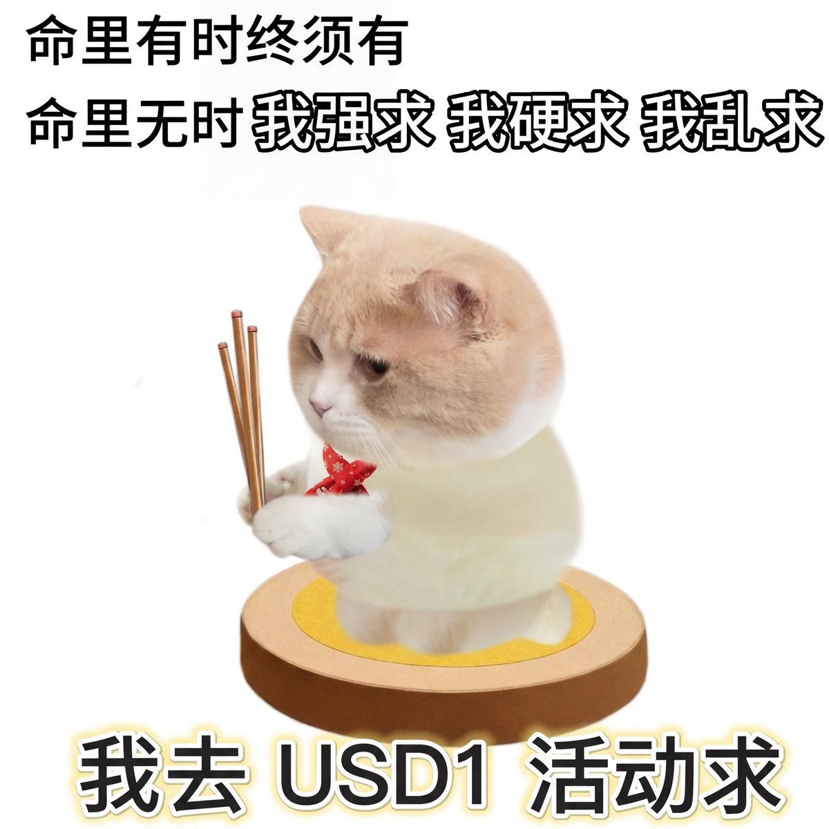 Rika 瑞卡⚡ tweet media