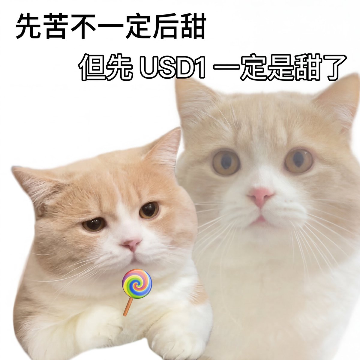 Rika 瑞卡⚡ tweet media