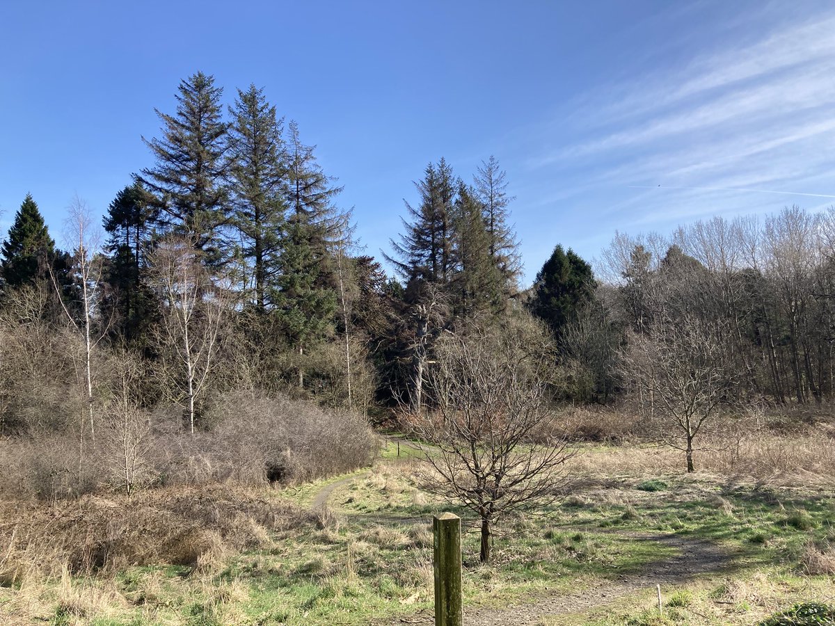 The Edinburgh Birdwatcher tweet media