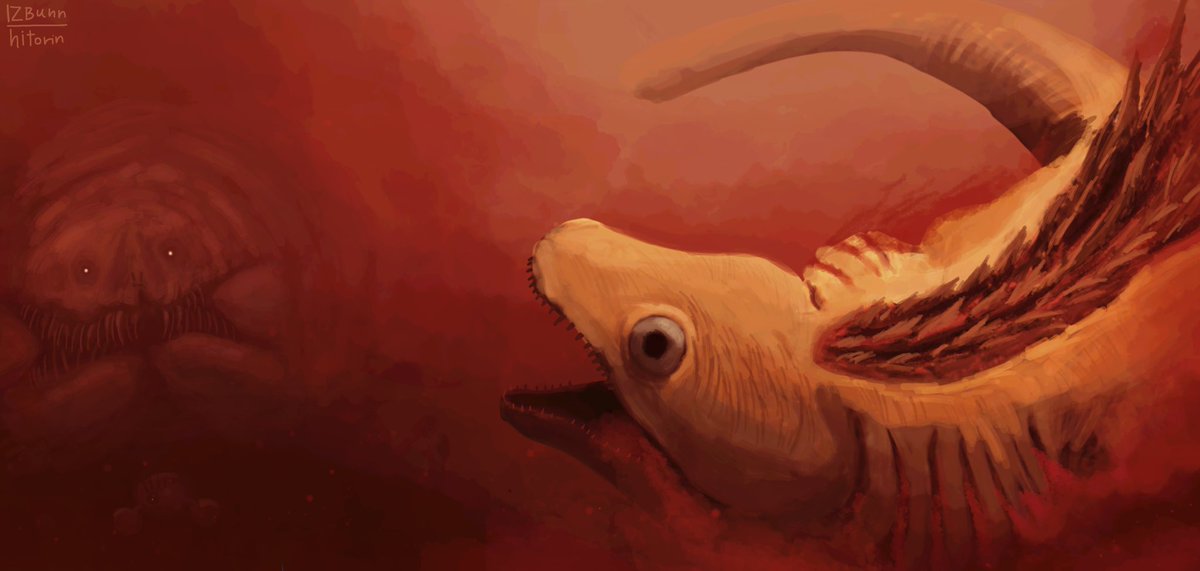 || hitorin || tweet media