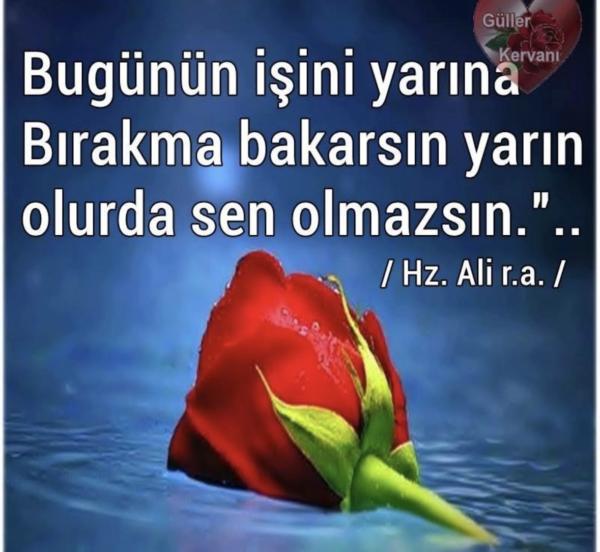 HALİT YILDIZ (@halit_yildiz63) on Twitter photo 