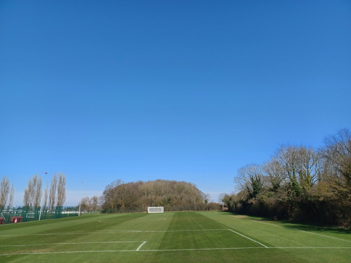 AP grounds tweet media