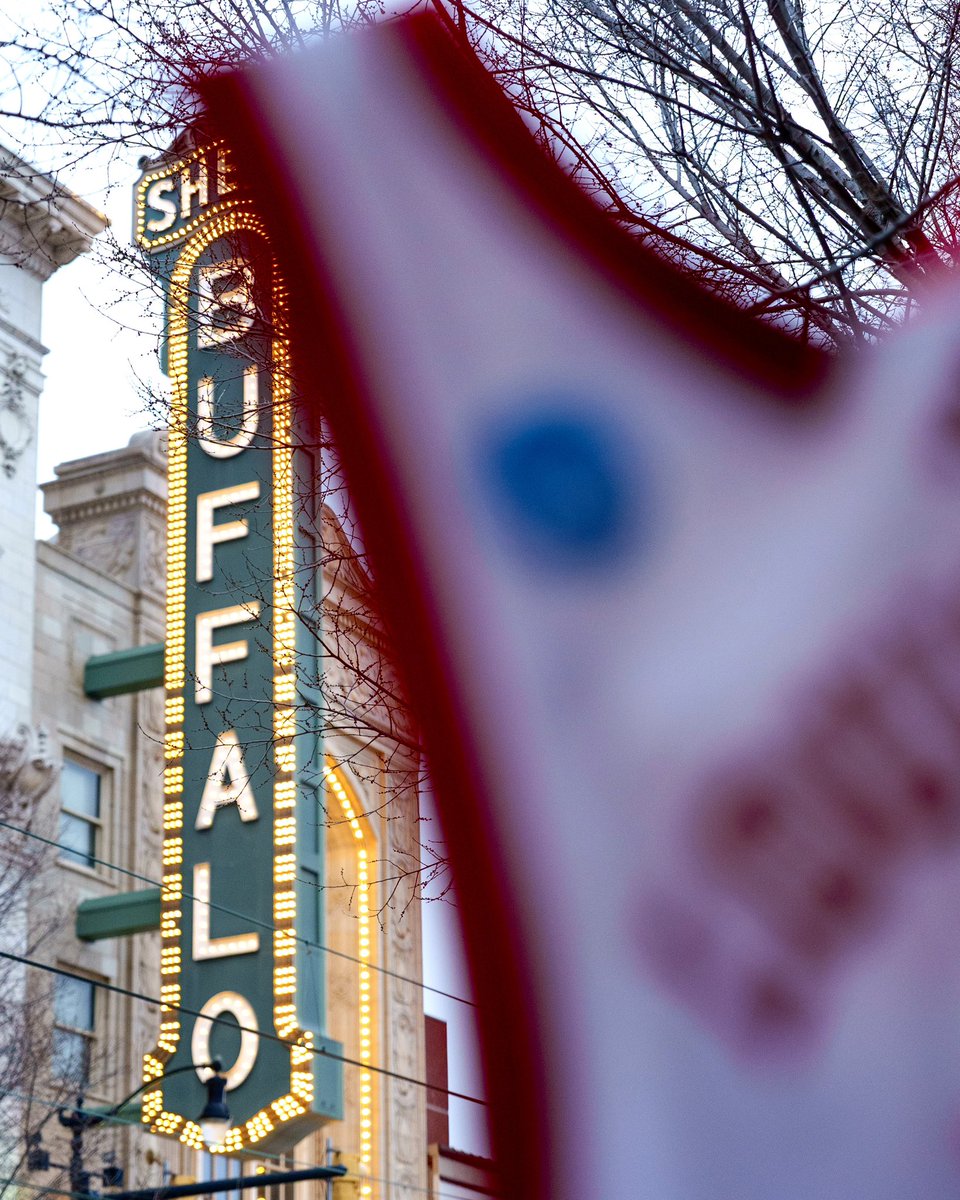 Louisville Men's Basketball tweet media