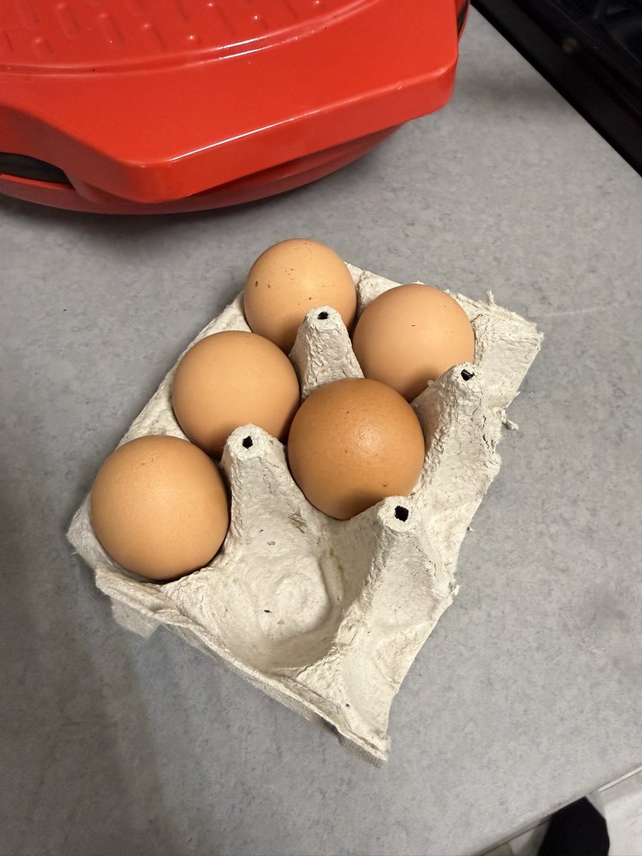 Heshie Brody tweet media