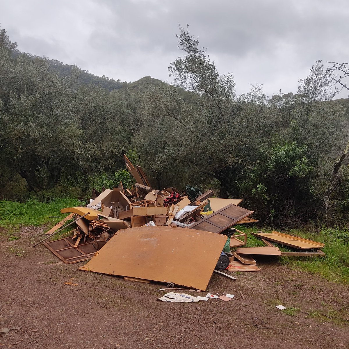 Espadànics escaldats🦎 tweet media