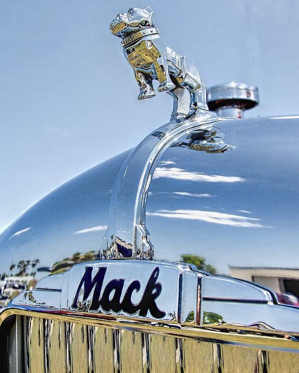 I’m that guy🌎 tweet media