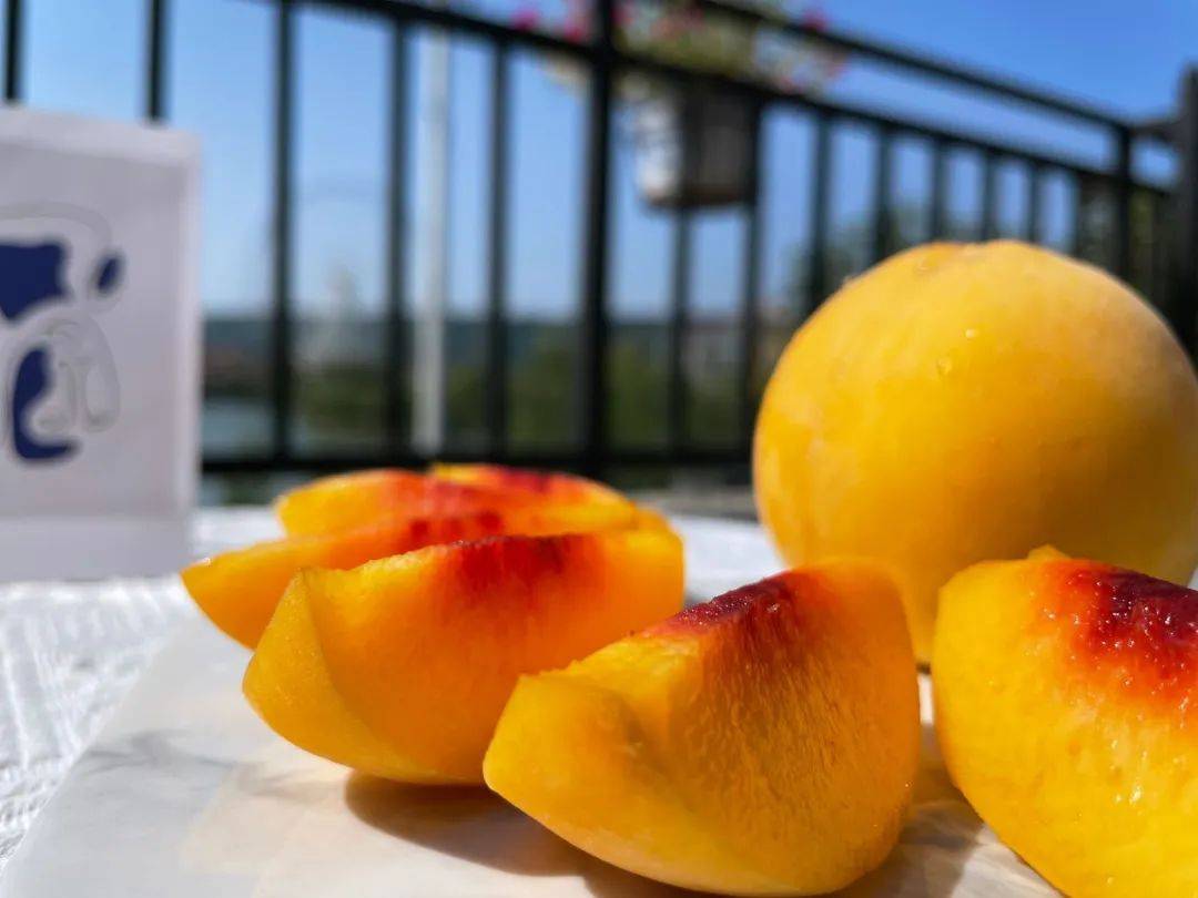 Christopher Pablico tweet media