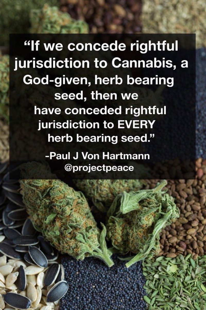 SlowBurn🖕💊🫸🌿⚡️🌎☮️ tweet media