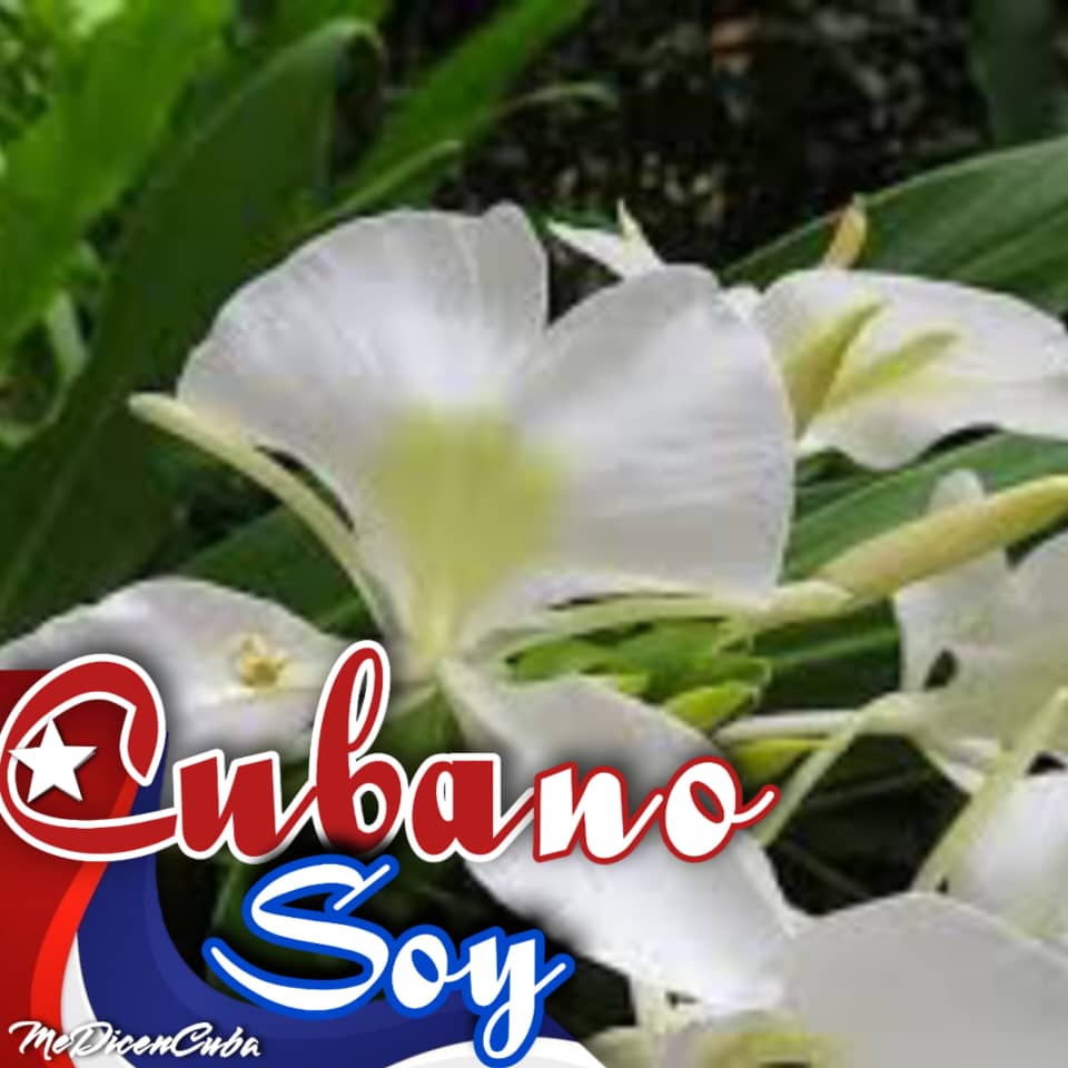 El solo echo de pertenecer a esta Nación. Les da la medida del estirpe. Que tenemos como pueblo.