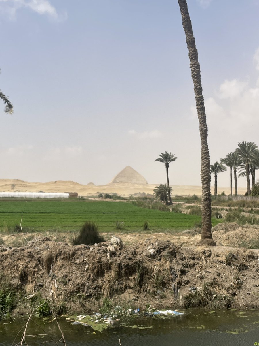 Profit With The Planets tweet media