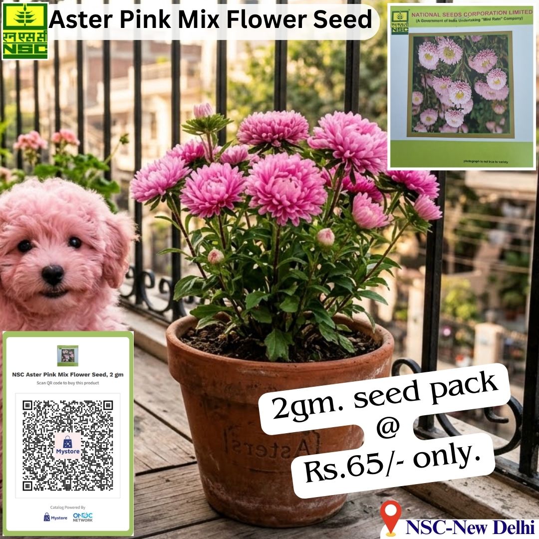 National Seeds Corporation Limited tweet media