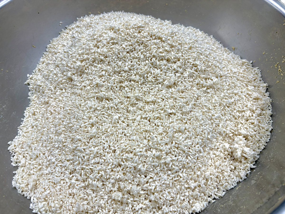 Amano Masahiro_ 玄マの🌳親分 tweet media