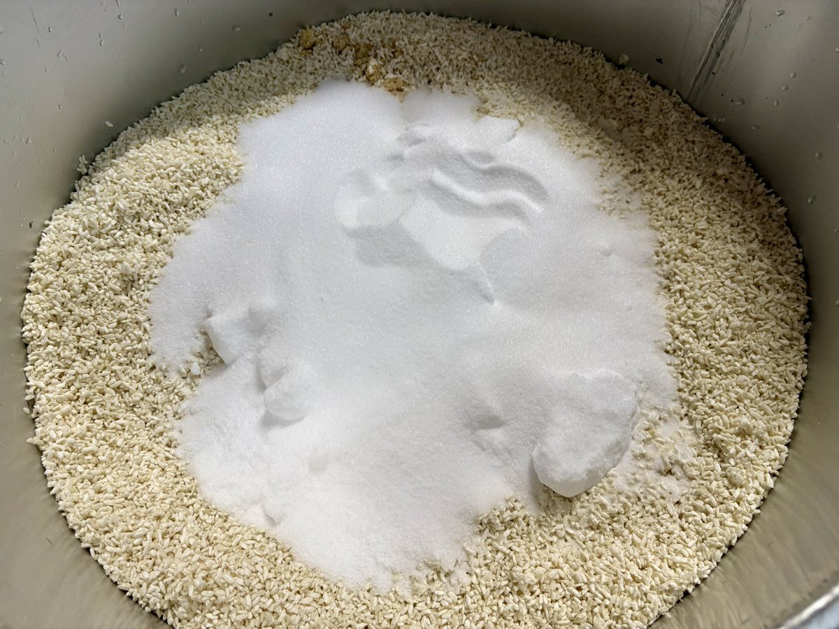 Amano Masahiro_ 玄マの🌳親分 tweet media