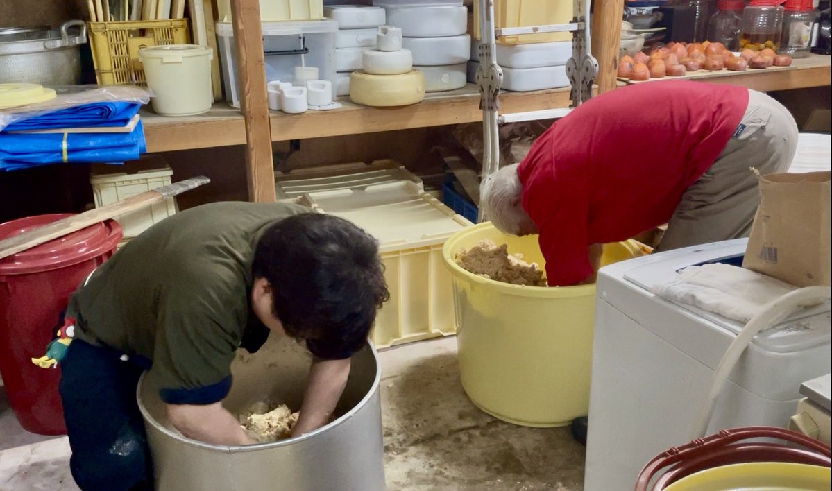 Amano Masahiro_ 玄マの🌳親分 tweet media