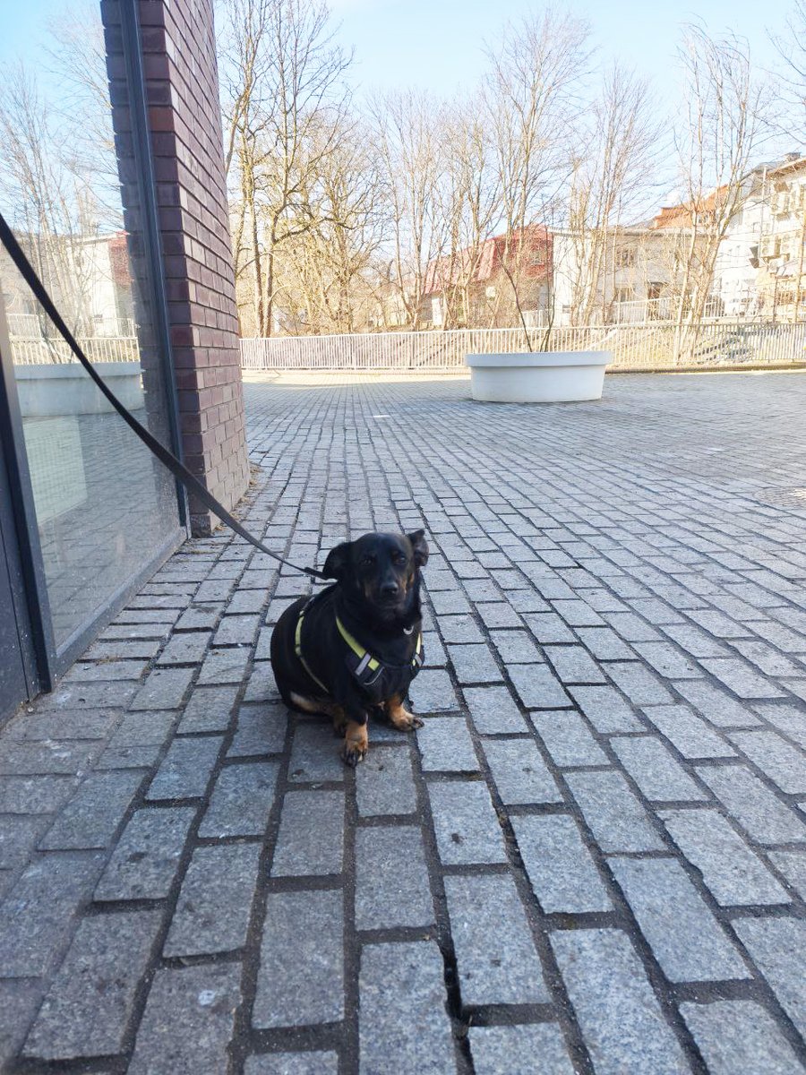 Host 🏃‍♂️ tweet media