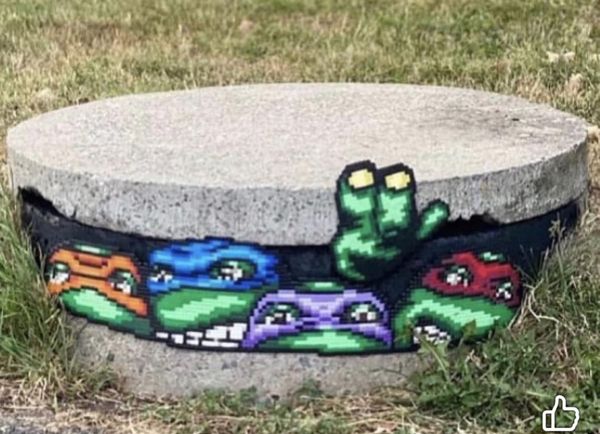 Turtle_Lair tweet media