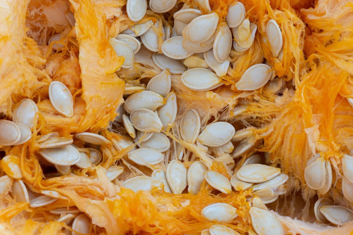 AZoBuild tweet media