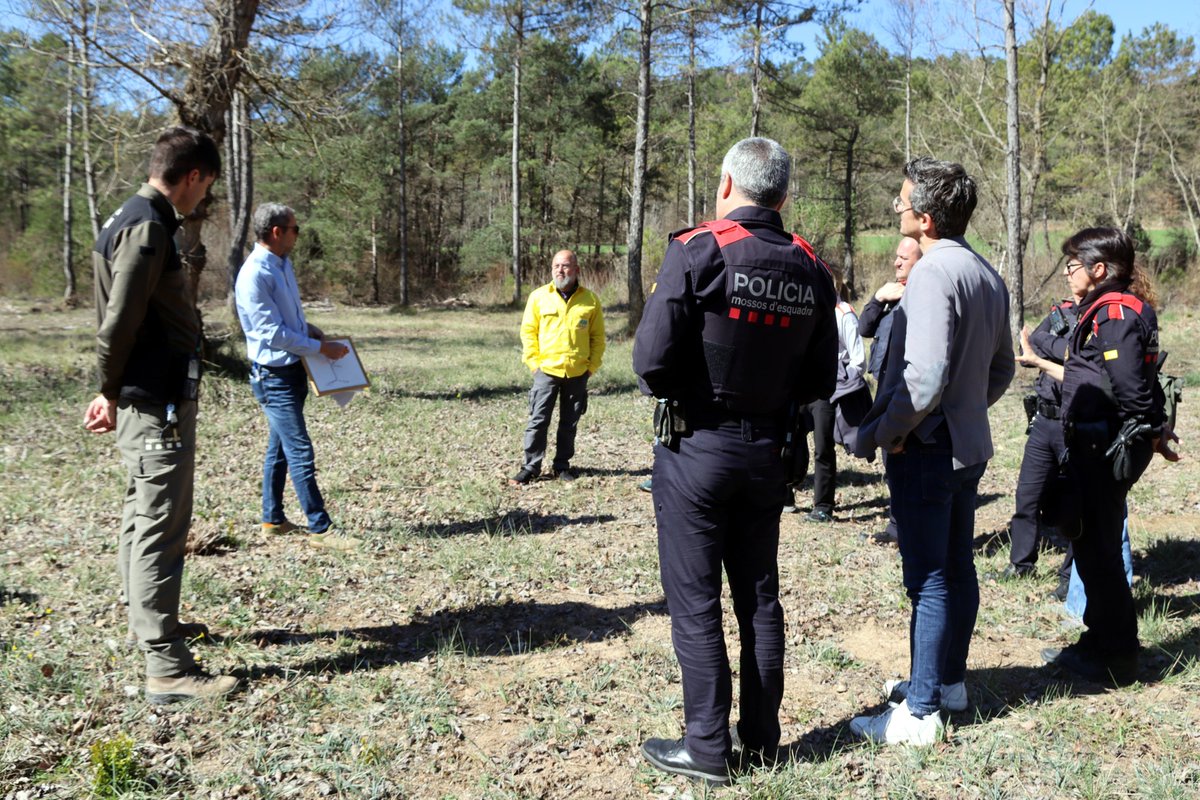 SOLSONA FM tweet media