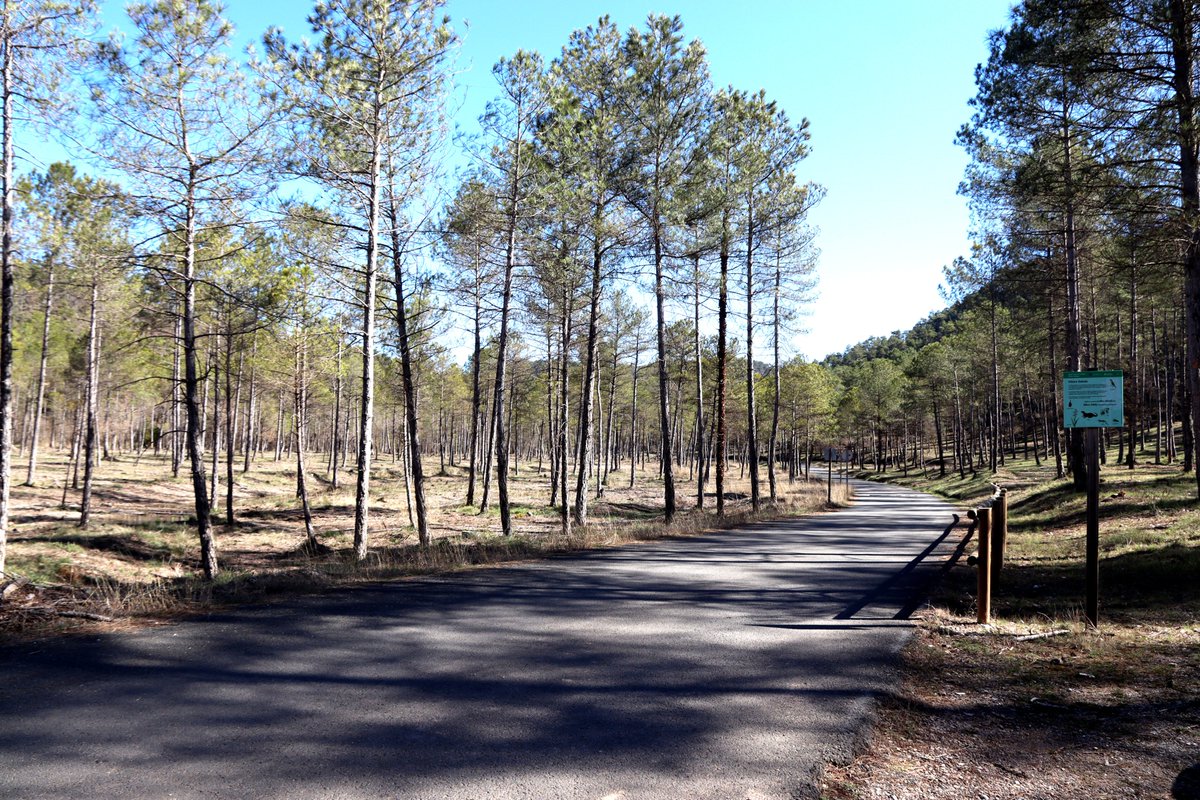 SOLSONA FM tweet media