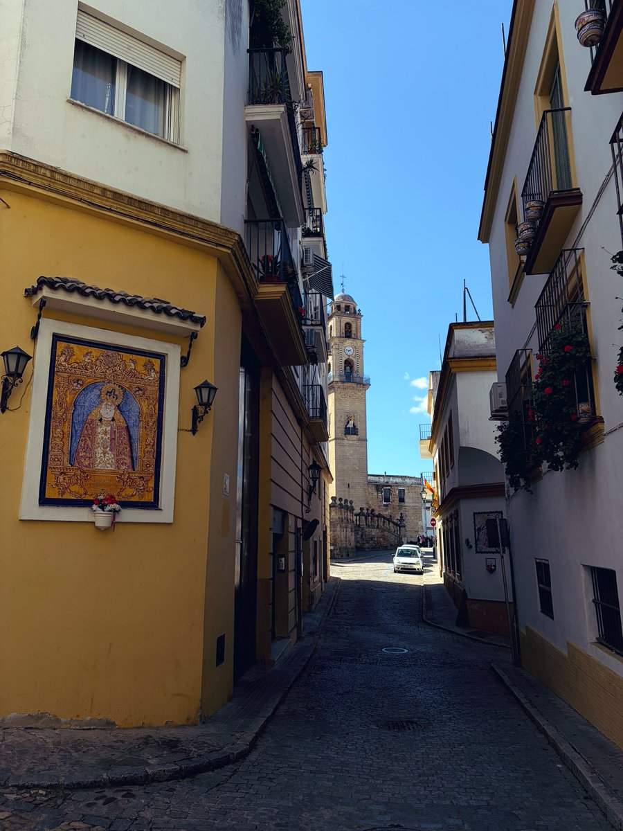 brook 🕷️ tweet media