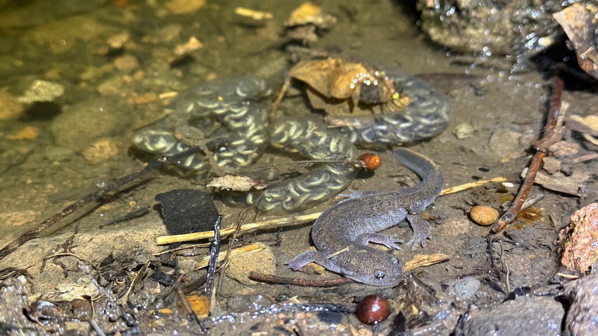 ナミウモ tweet media