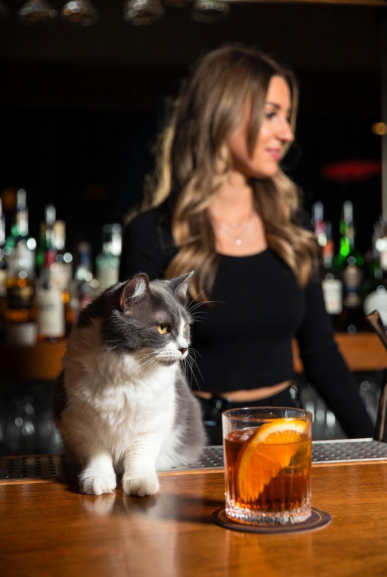 Vegas Conservative tweet media