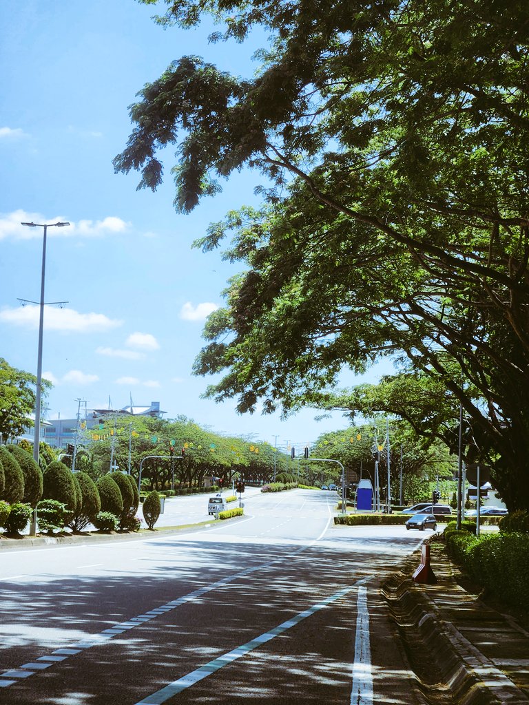 Shihab🇧🇩 tweet media