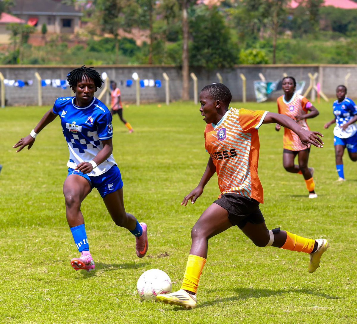 Rines S.S WFC tweet media