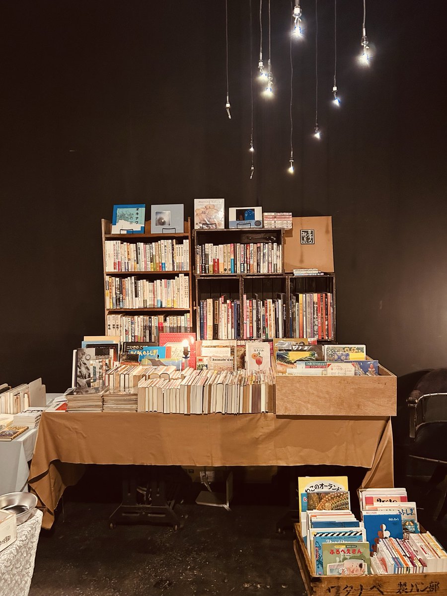 𝚌𝚛𝚘𝚒𝚡𝚒𝚕𝚕𝚎 tweet media