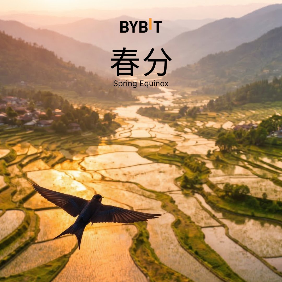 Bybit 华语 tweet media