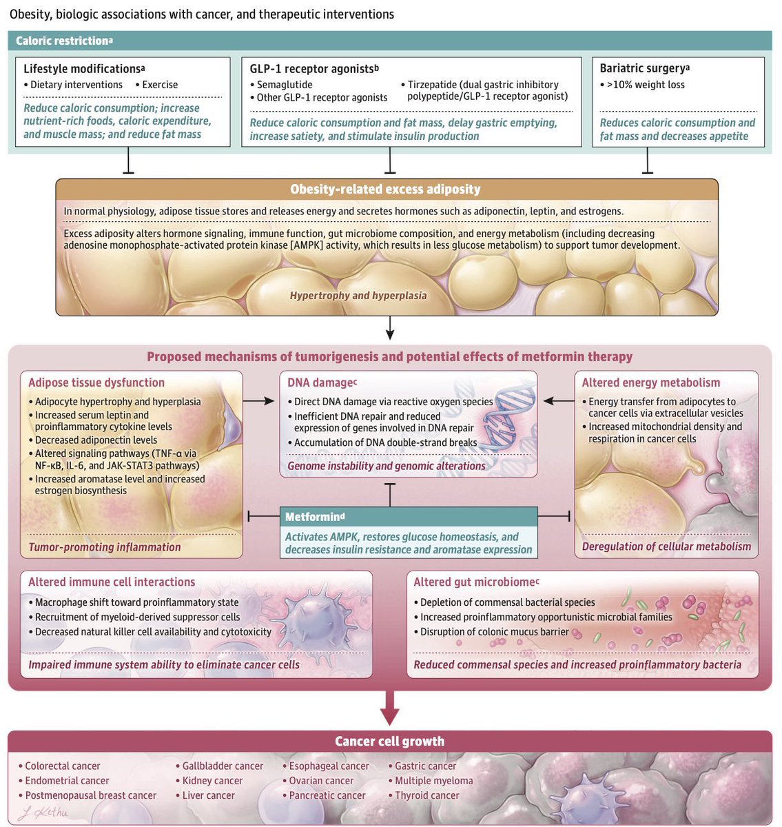 Mario Balsa tweet media
