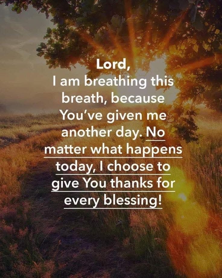 Yvette 🦮 tweet media