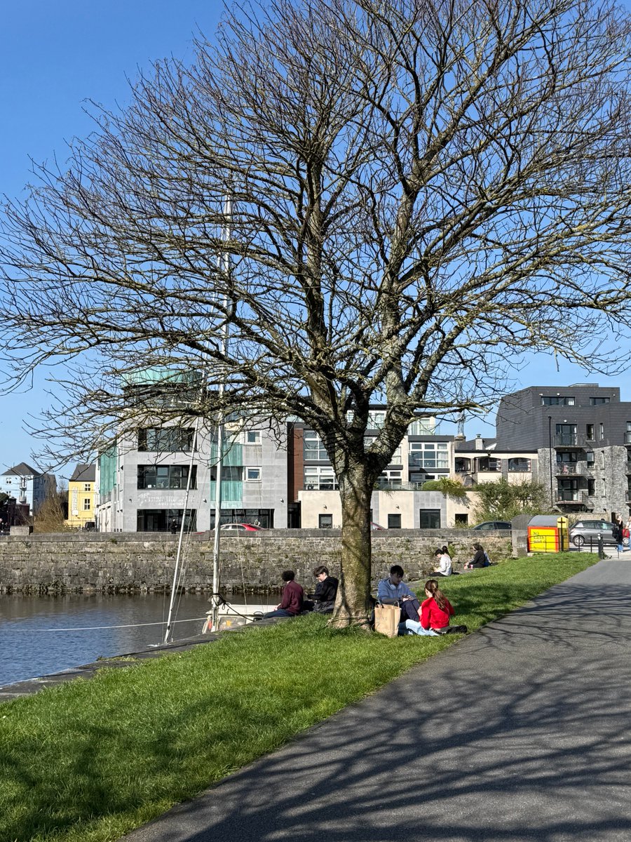 Ovdje je situacija dosta jednostavna. Čim se pojavi sunce, svi pauziraju na travi.