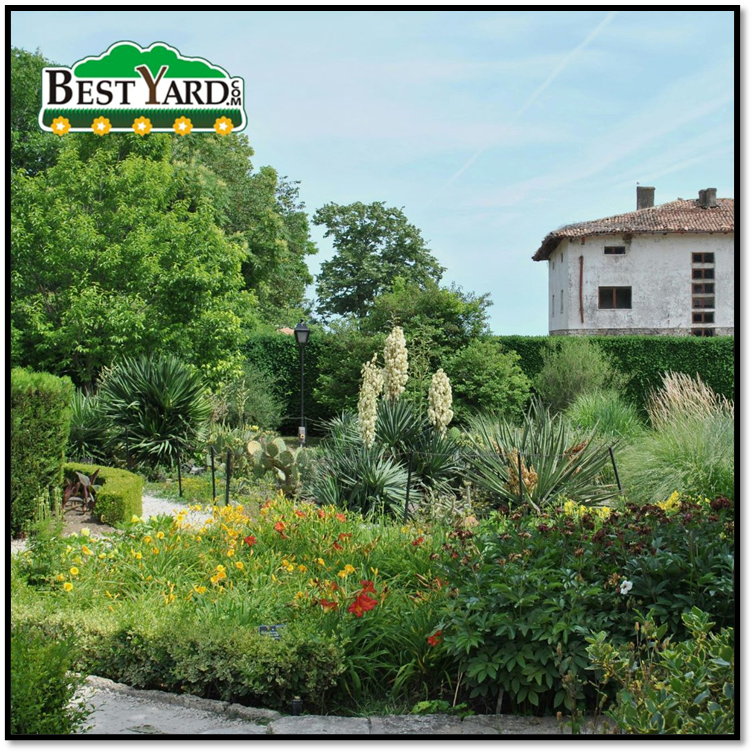 BestYard tweet media