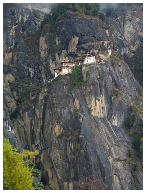 #NAFOViking tweet media