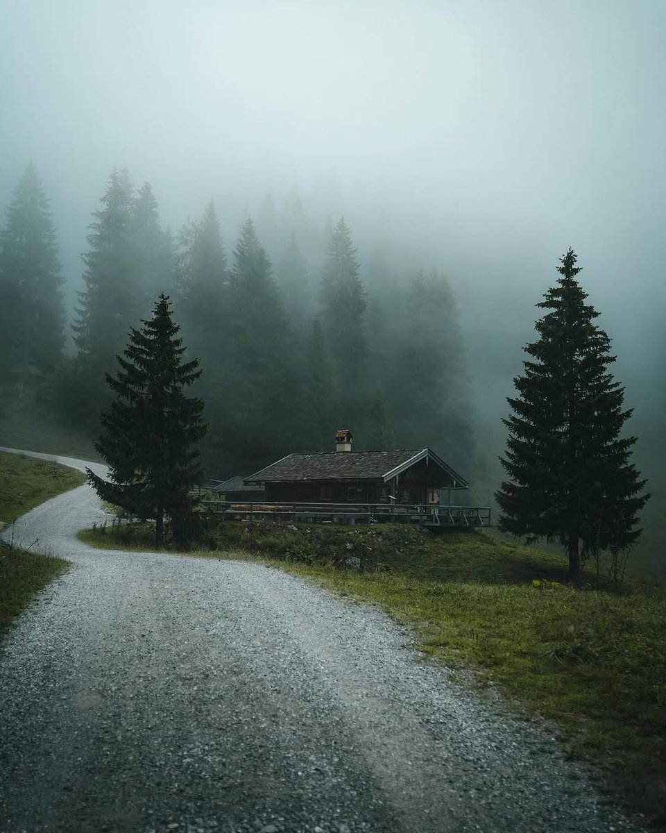 𝘄𝗮𝗻𝗱𝗲𝗿𝘁𝗿𝗮𝘃𝗲𝗹𝘀 tweet media