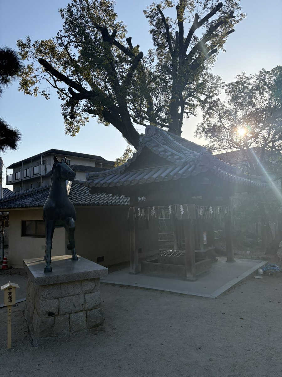 machiko TXT tweet media