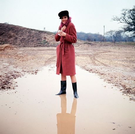 Rodney Marshall tweet media